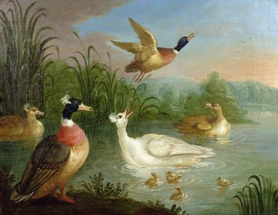 Ducks on a River Landscape by Marmaduke Craddock